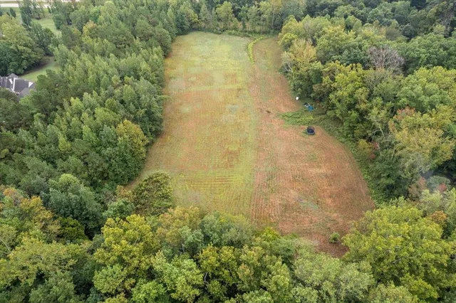 a view of a small yard