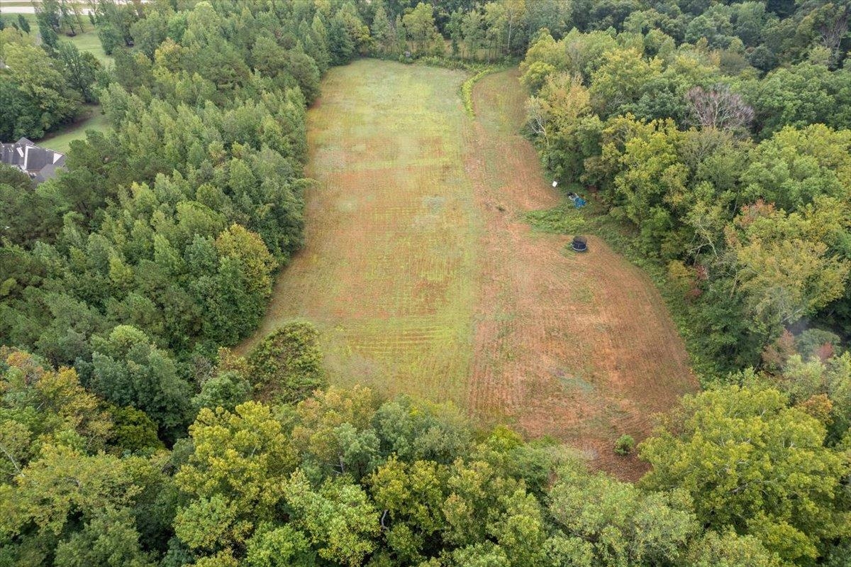 a view of a small yard