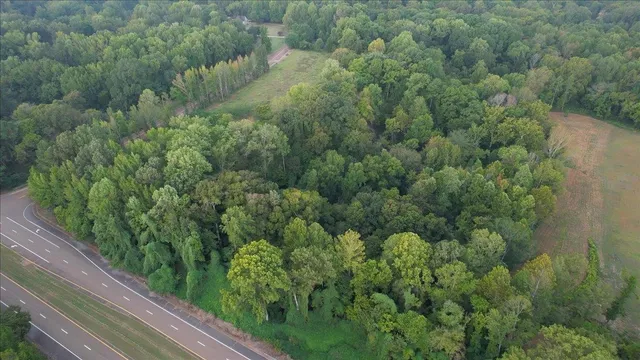 a view of a forest with a houses