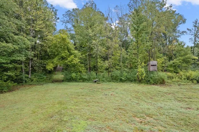 a view of a trees with a yard
