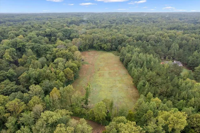 a view of a field with a forest