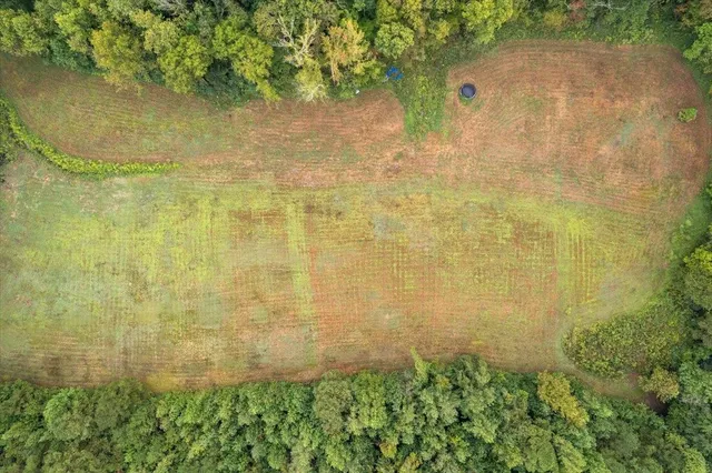 a view of a brick wall with a lake
