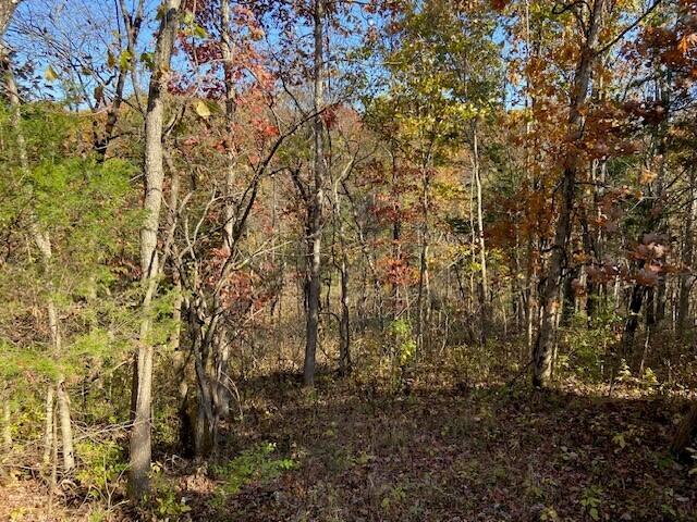 5420 Central Ridge Road Mount Olivet, KY 41064 - Photo 9 of 13