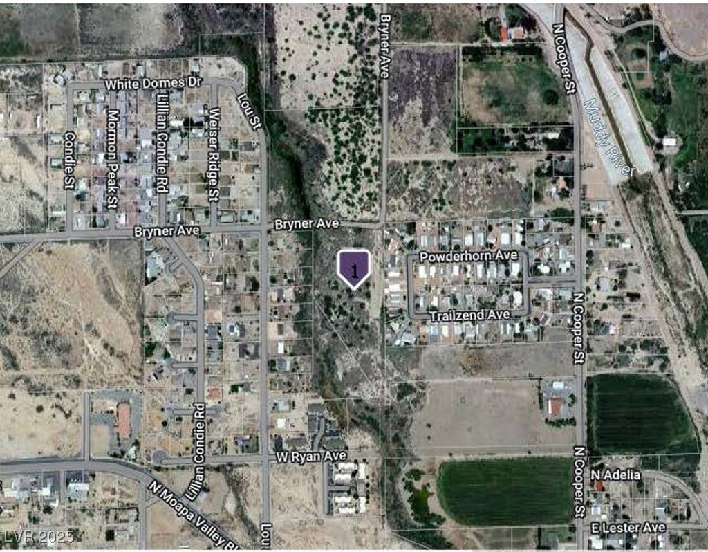 0 Bryner Avenue Overton, NV 89040 - Photo 1 of 28 Gallery Image 1