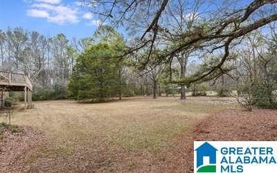 1000 Highway 107 Montevallo Al Montevallo, AL 35115 - Photo 3 of 32