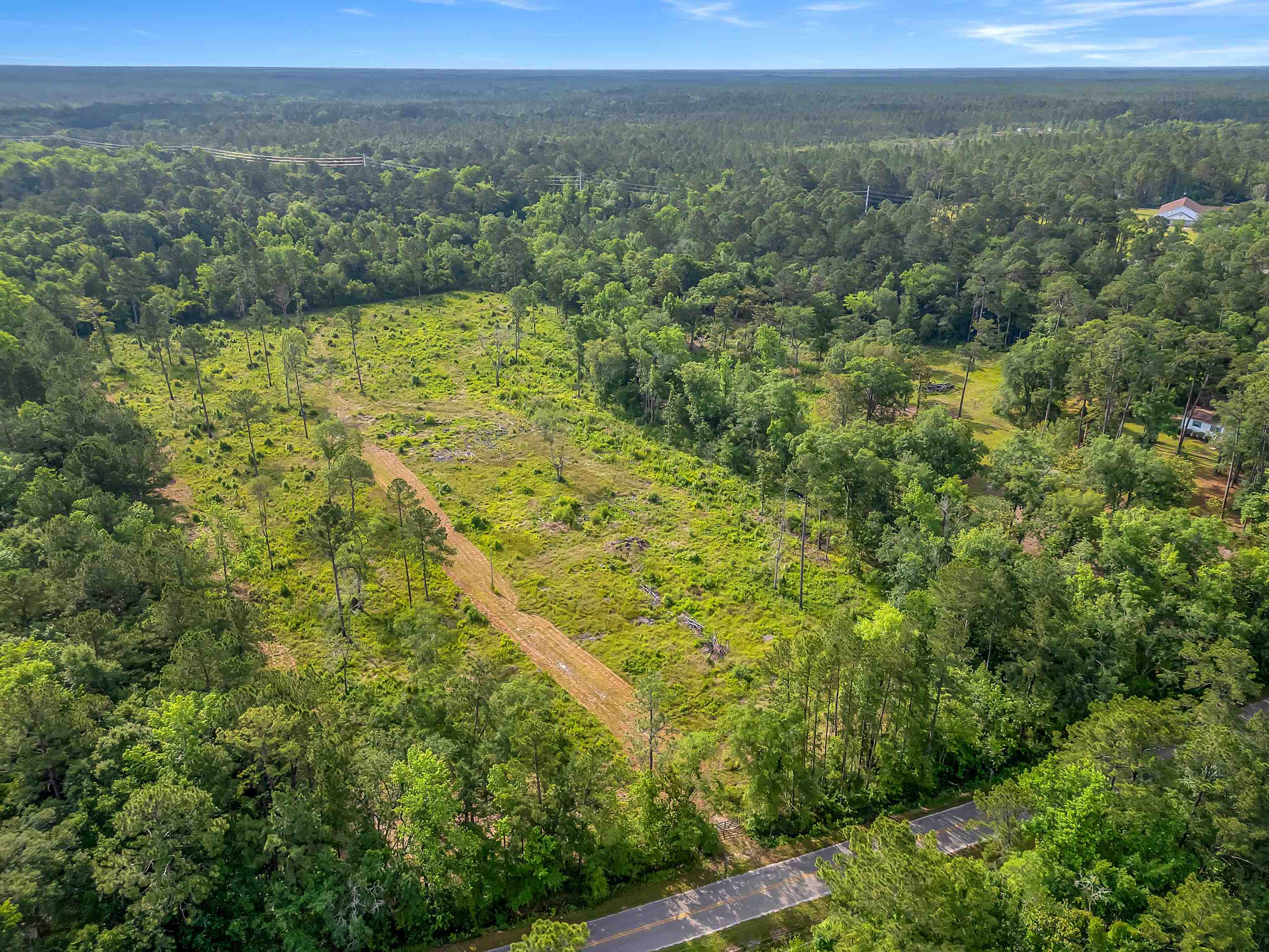 3375 Ben Stoutamire Road Tallahassee, FL 32310 - Photo 5 of 42