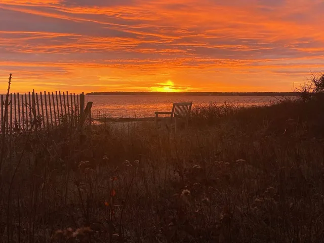 a close up of a sink in a yard