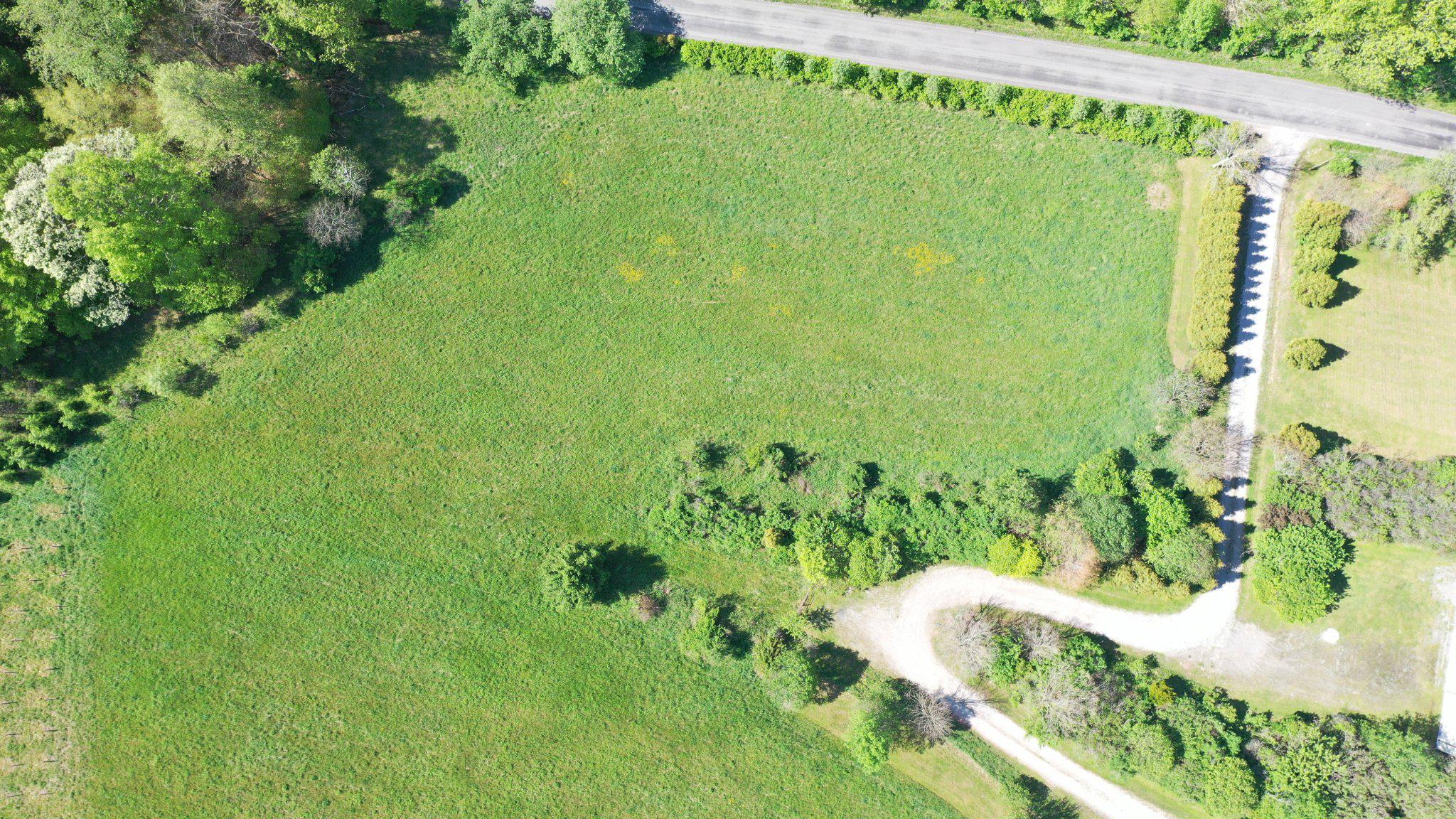 335 Charley Bowser Road Accident, MD 21520 - Photo 67 of 85 Includes 3 ac parcel to the right of the driveway