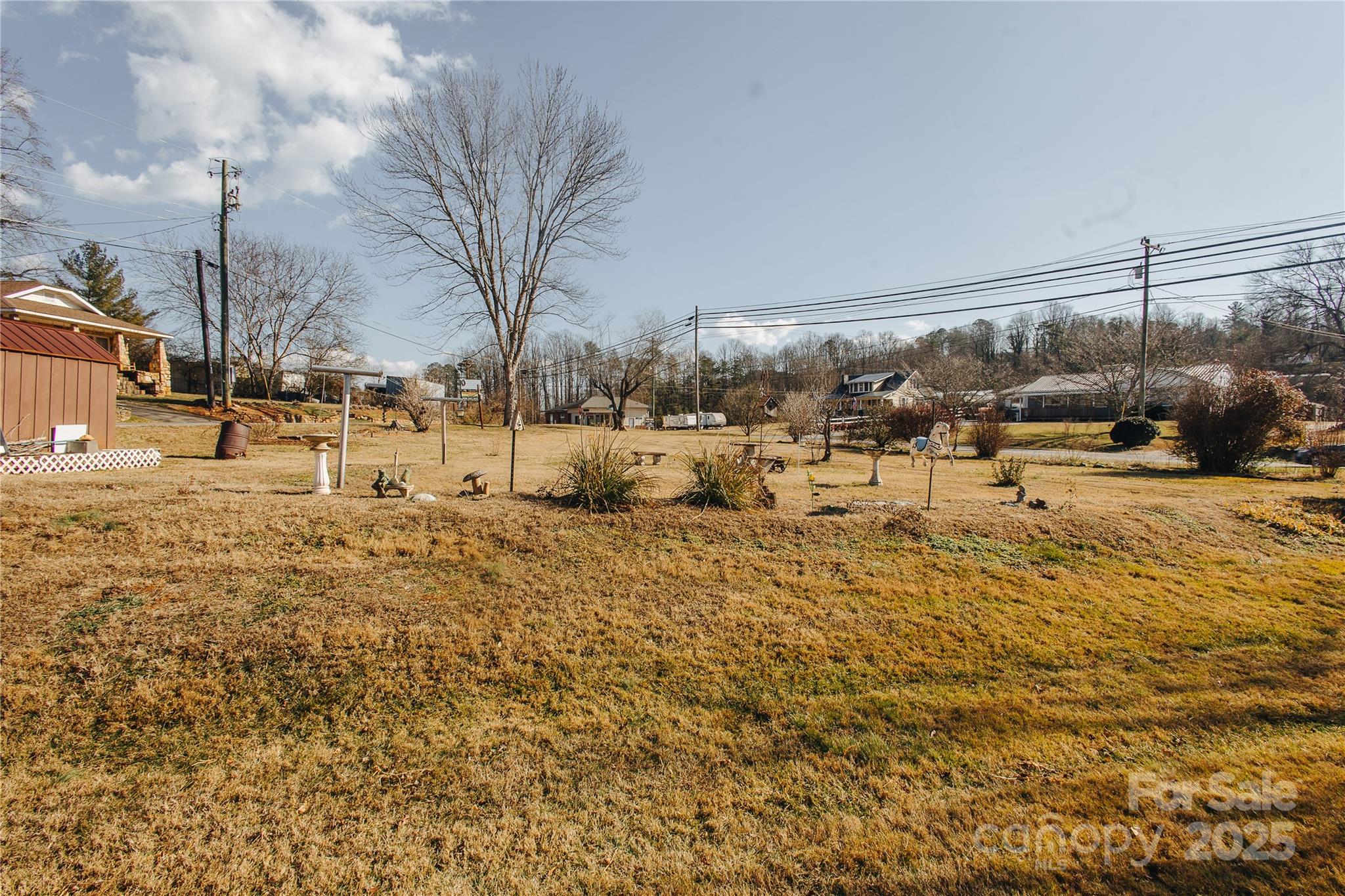63 Clear Creek Road Marion, NC 28752 - Photo 5 of 38 a view of a yard with a large tree
