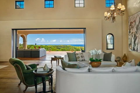 a living room with fireplace furniture and a potted plant