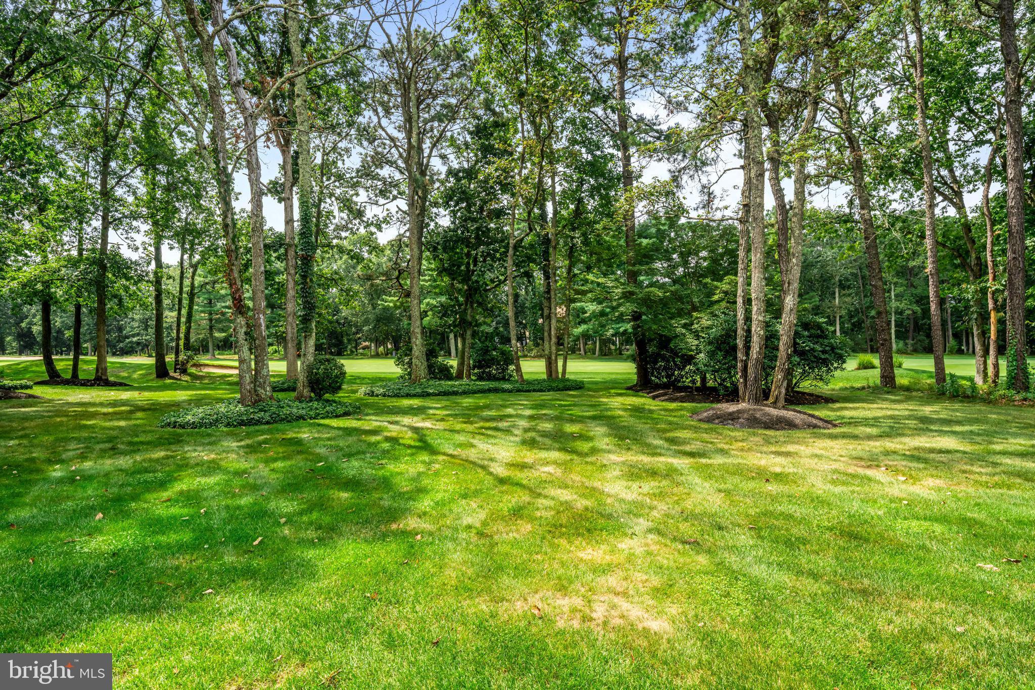 73 Bortons Road Marlton, NJ 08053 - Photo 88 of 99 a view of a park with trees and grass