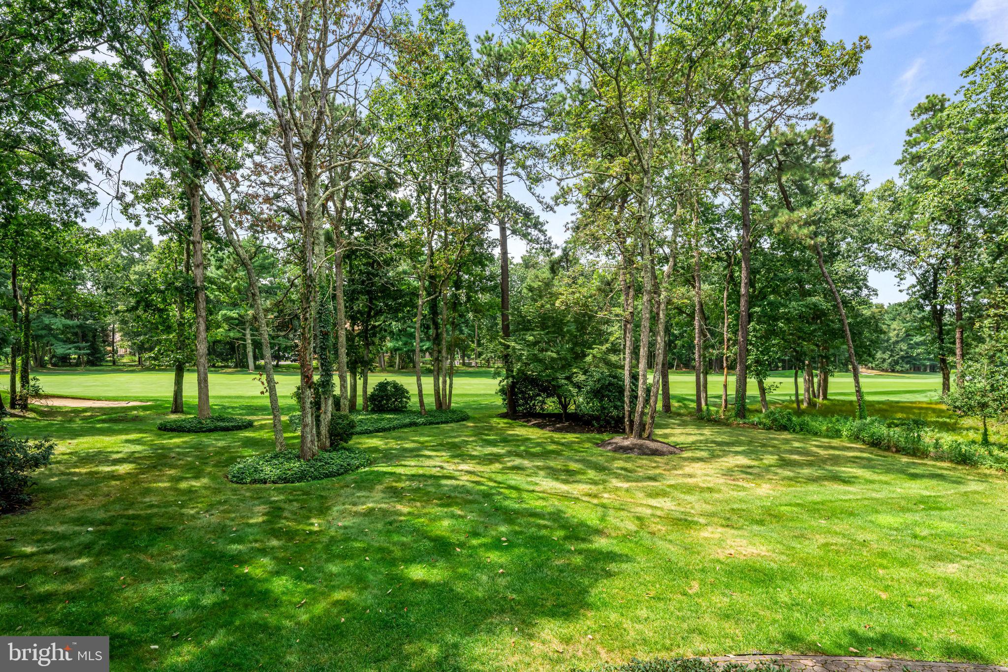 73 Bortons Road Marlton, NJ 08053 - Photo 90 of 99 a view of a park with a tree in a park