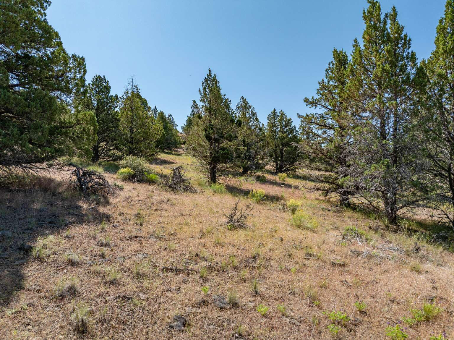 1167 Grande Road Alturas, CA 96101 - Photo 5 of 19 Dingman.5