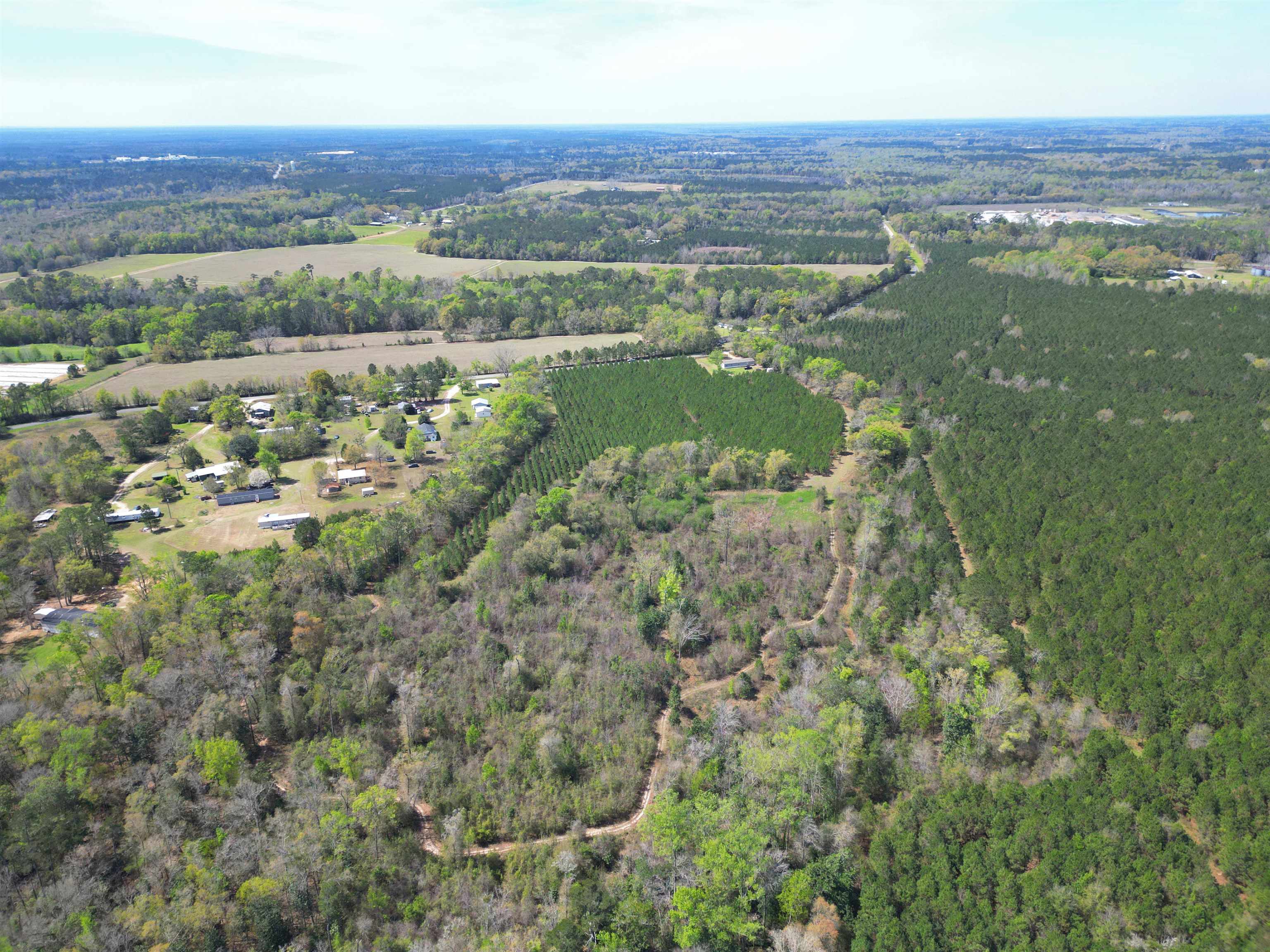 Xxx Thigpen Road Quincy, FL 32351 - Photo 2 of 10