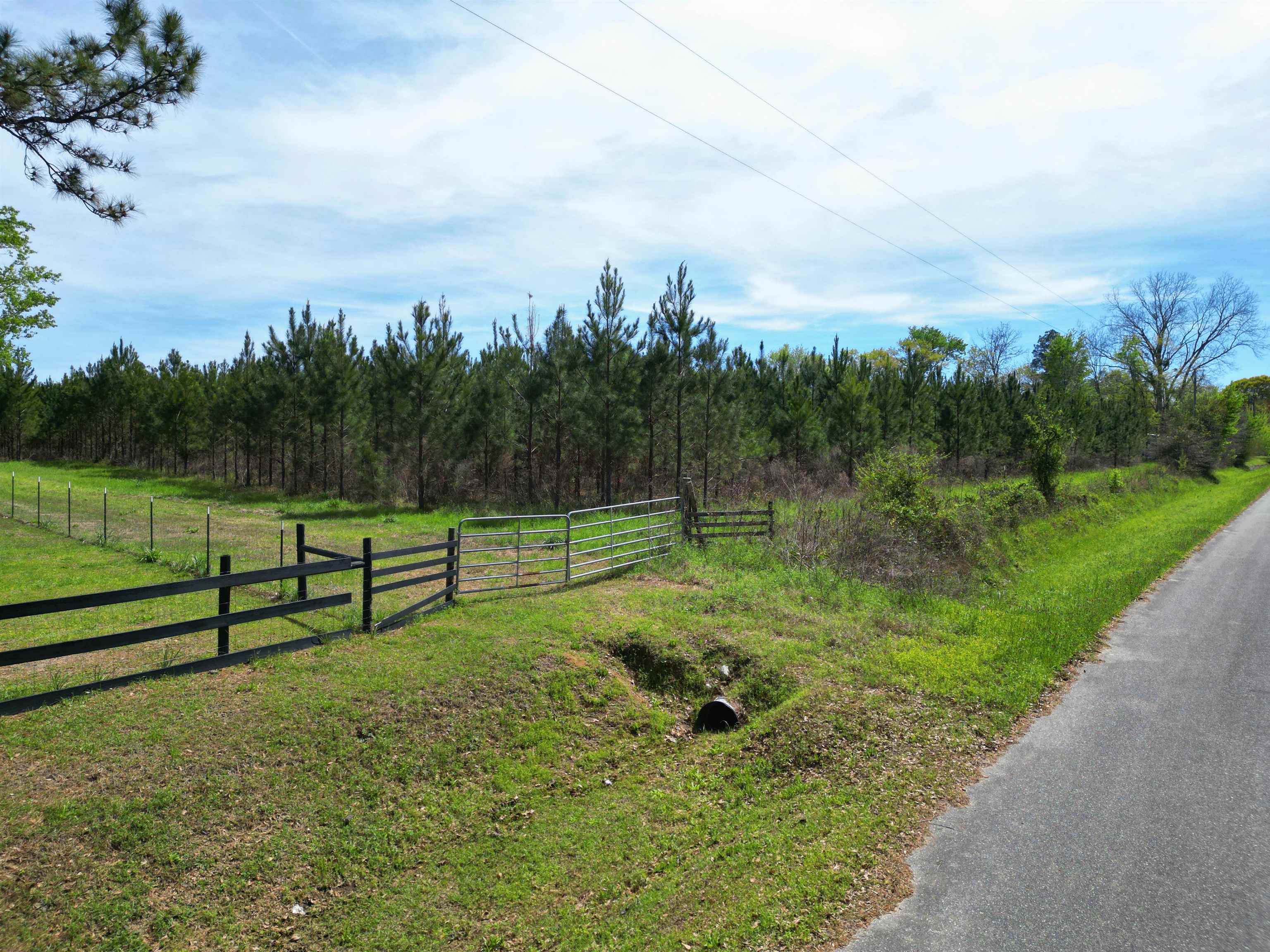 Xxx Thigpen Road Quincy, FL 32351 - Photo 3 of 10