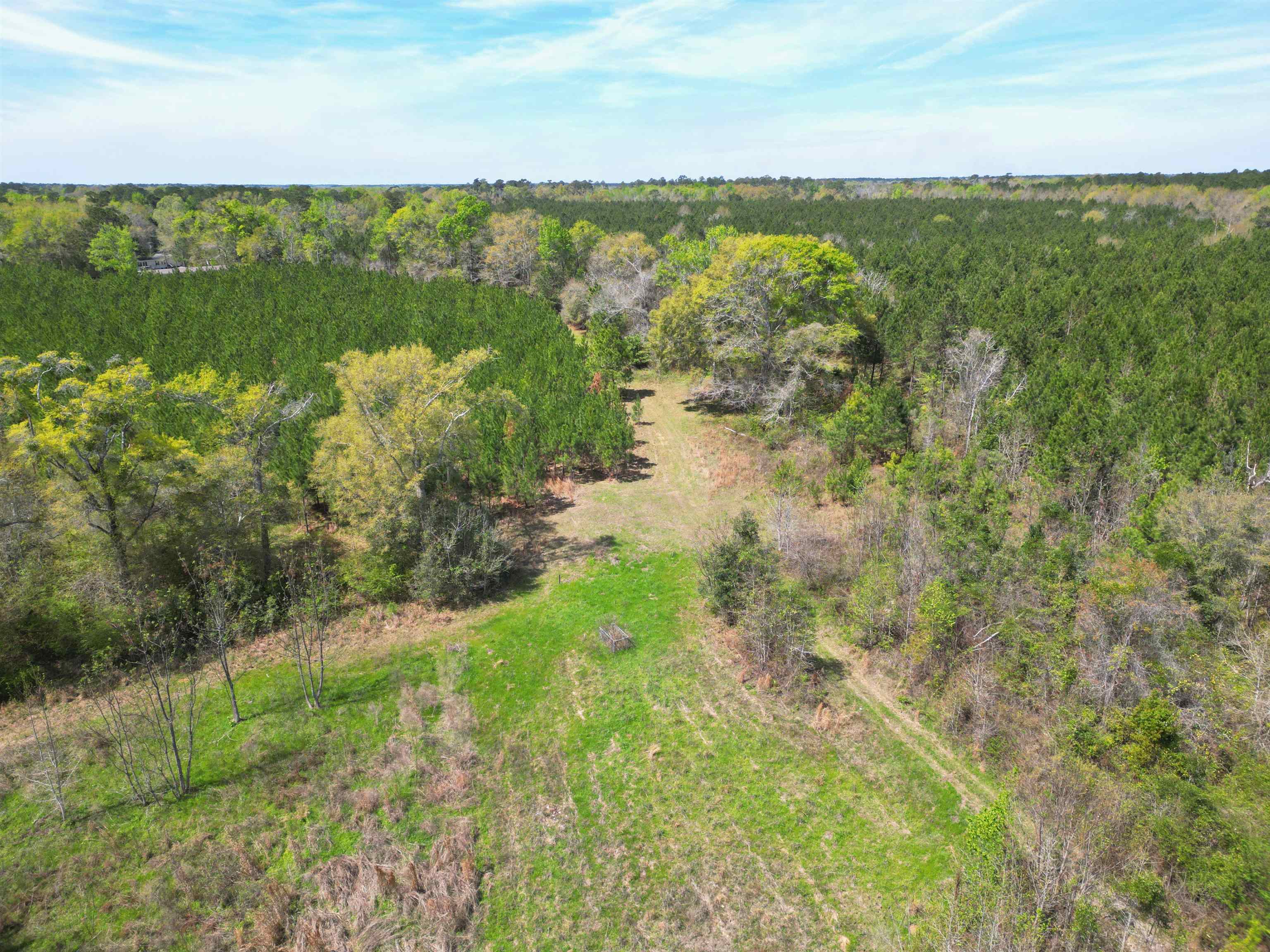 Xxx Thigpen Road Quincy, FL 32351 - Photo 4 of 10