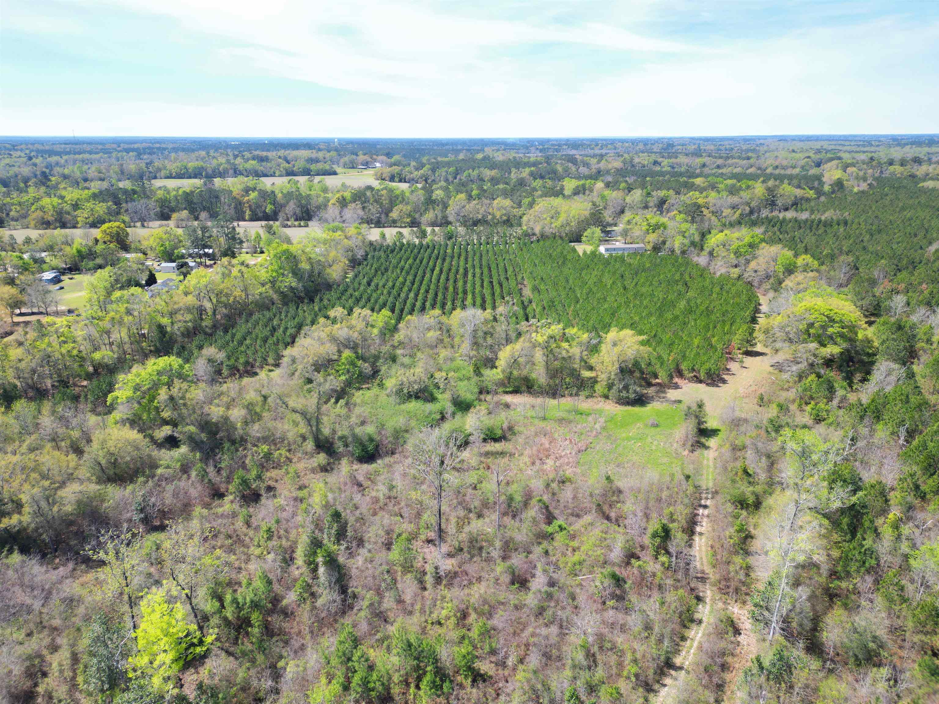 Xxx Thigpen Road Quincy, FL 32351 - Photo 5 of 10