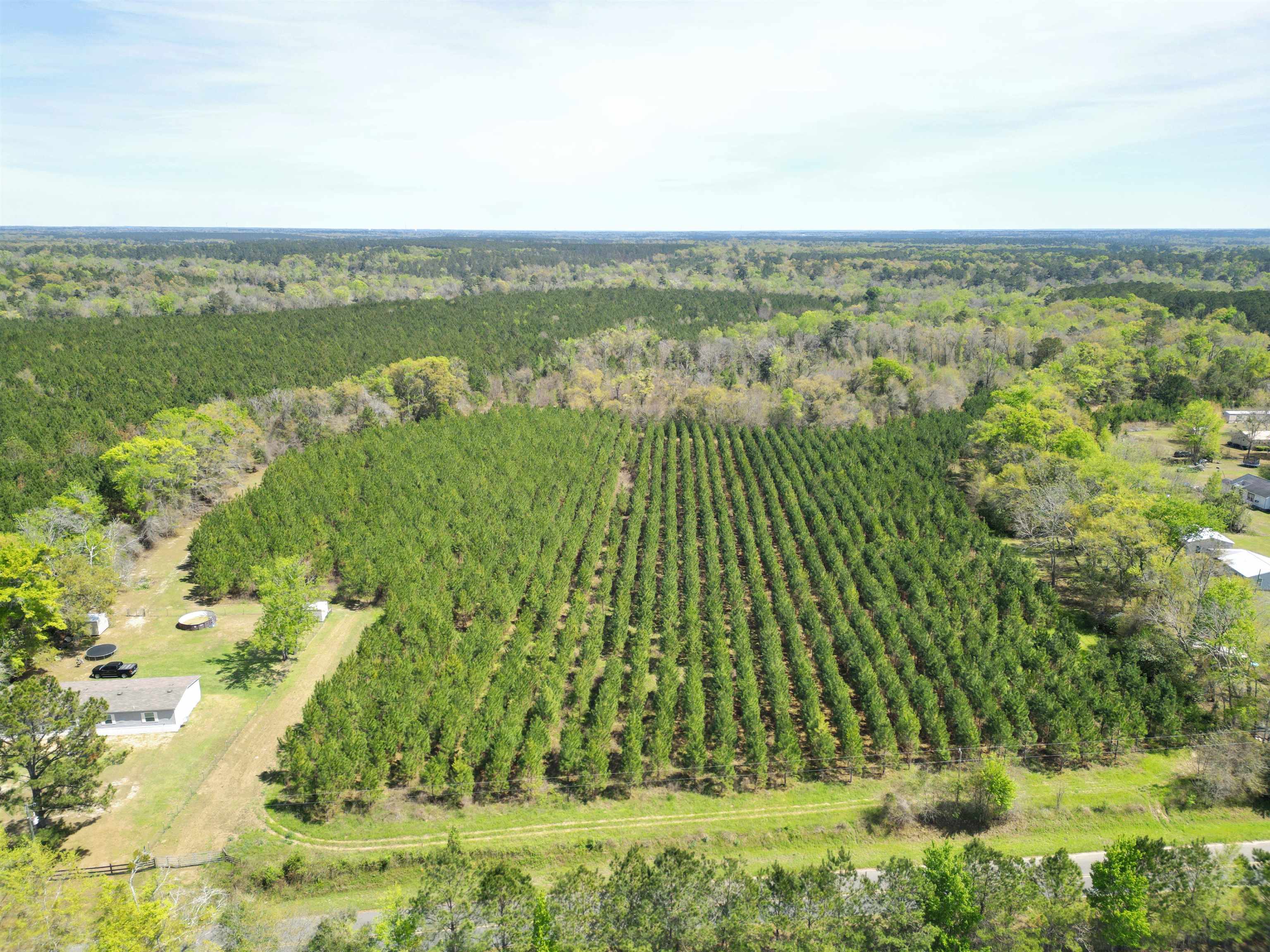 Xxx Thigpen Road Quincy, FL 32351 - Photo 7 of 10