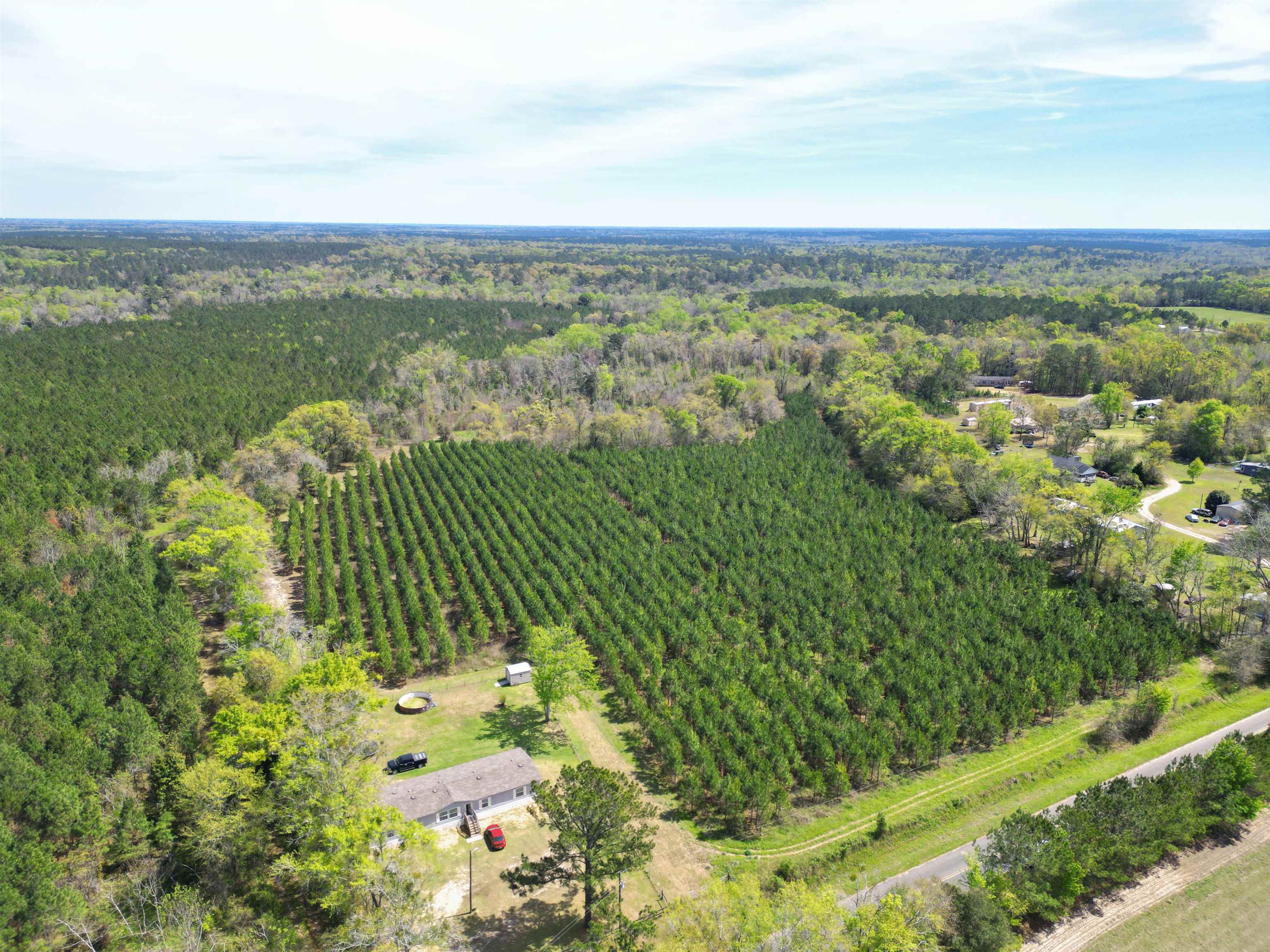 Xxx Thigpen Road Quincy, FL 32351 - Photo 8 of 10