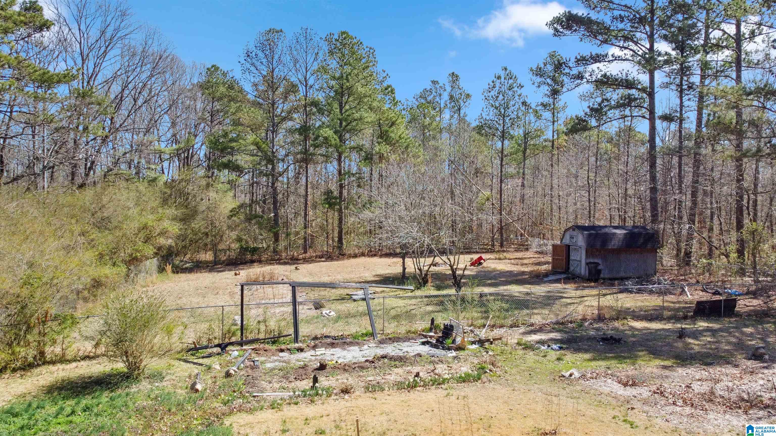 3606 Bethsaida Road Boaz, AL 35957 - Photo 43 of 44