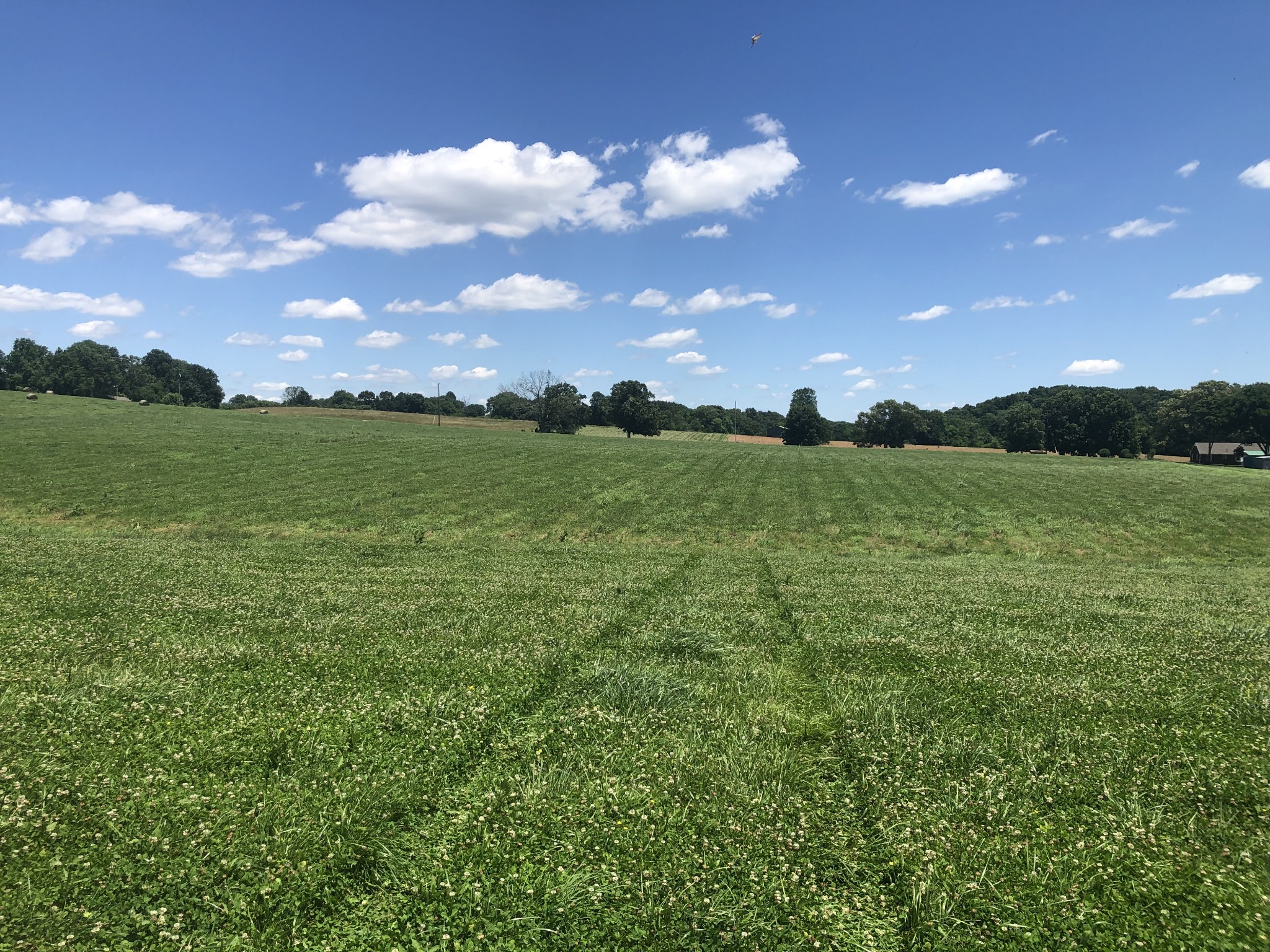 18 Maxwell Branch Road Cottontown, TN 37048 - Photo 3 of 3 a view of a golf course with a lake