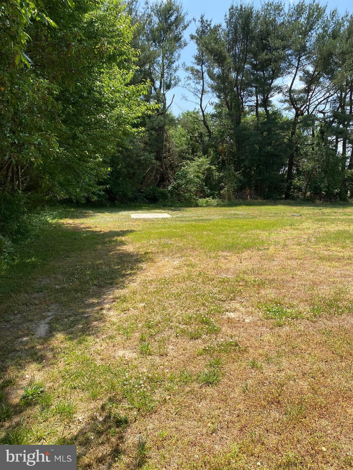 7573 Shawnee Road Milford, DE 19963 - Photo 13 of 25 Backyard