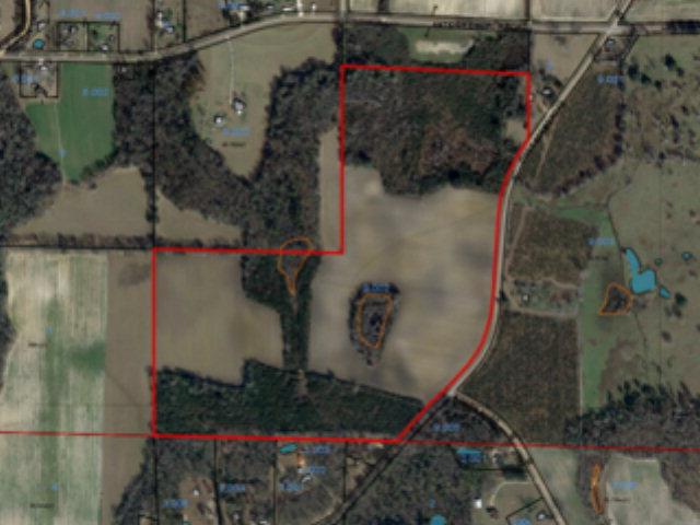 Tbd Coot Adams Road Ashford, AL 36312 - Photo 2 of 2