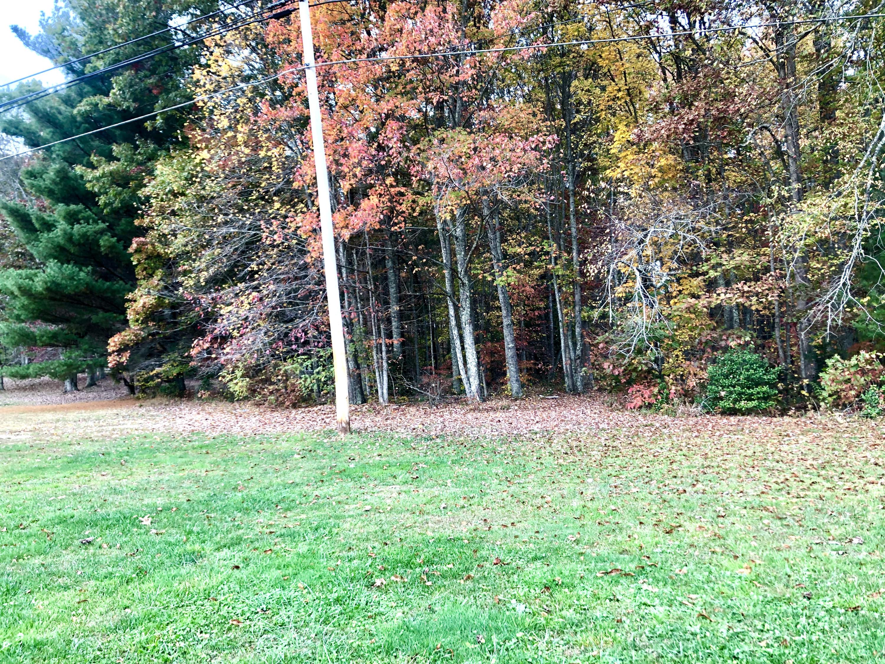 2606 Dungannon Road Coeburn, VA 24230 - Photo 59 of 61 6A437434-82D9-4E34-935F-8E319ECF0415