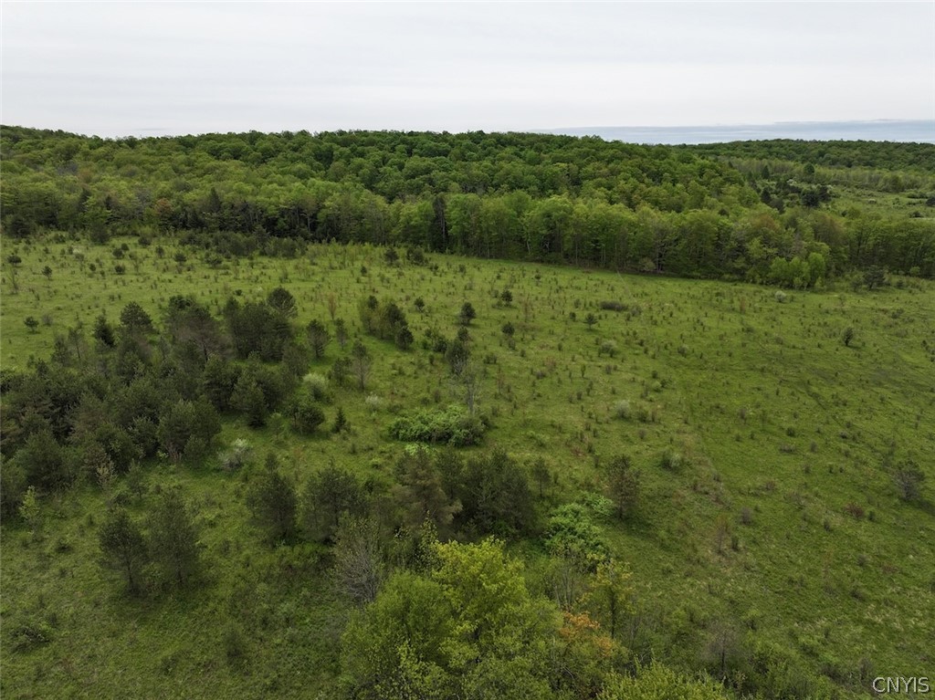 Reynolds Road Franklinville, NY 14737 - Photo 5 of 38