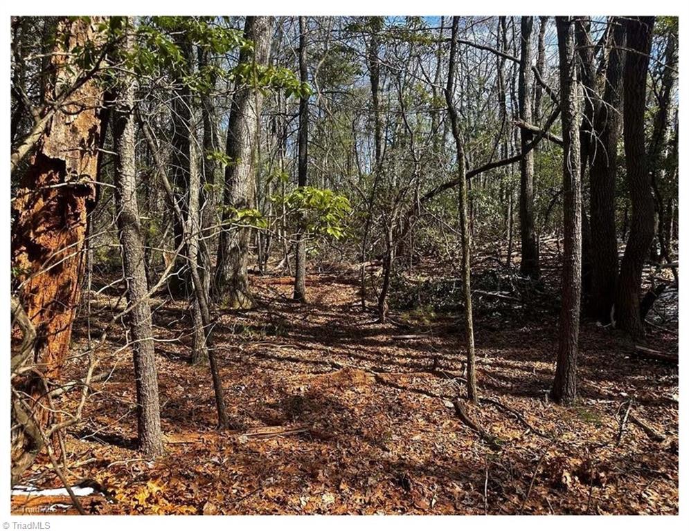 0 Timber Ridge Road Millers Creek, NC 28651 - Photo 2 of 6