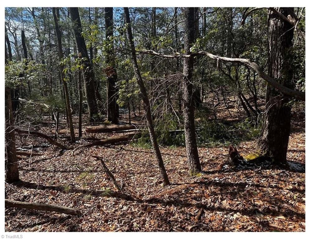 0 Timber Ridge Road Millers Creek, NC 28651 - Photo 3 of 6