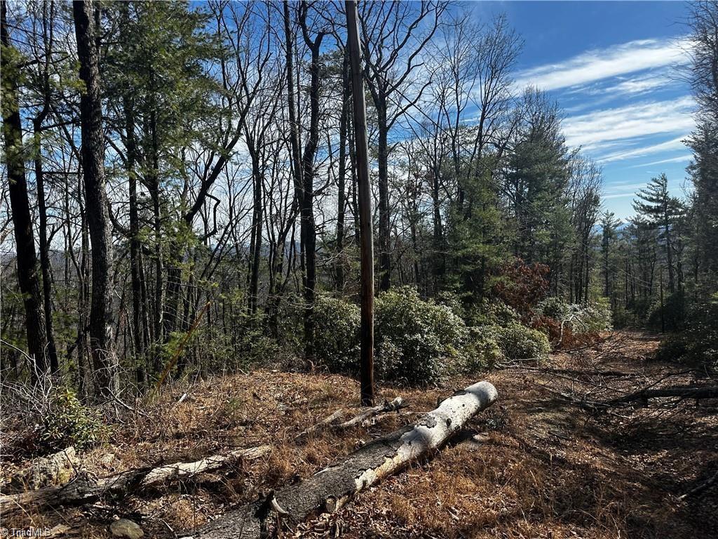 0 Timber Ridge Road Millers Creek, NC 28651 - Photo 4 of 6