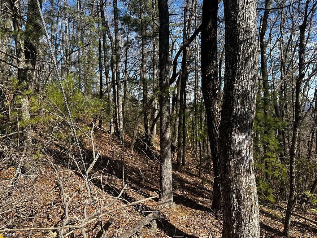 0 Timber Ridge Road Millers Creek, NC 28651 - Photo 5 of 6