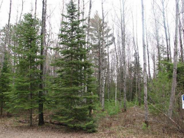 On Burnt Bridge Road, Unit LOT 4 St. Germain, WI 54558 - Photo 9 of 15 Gallery Image 9