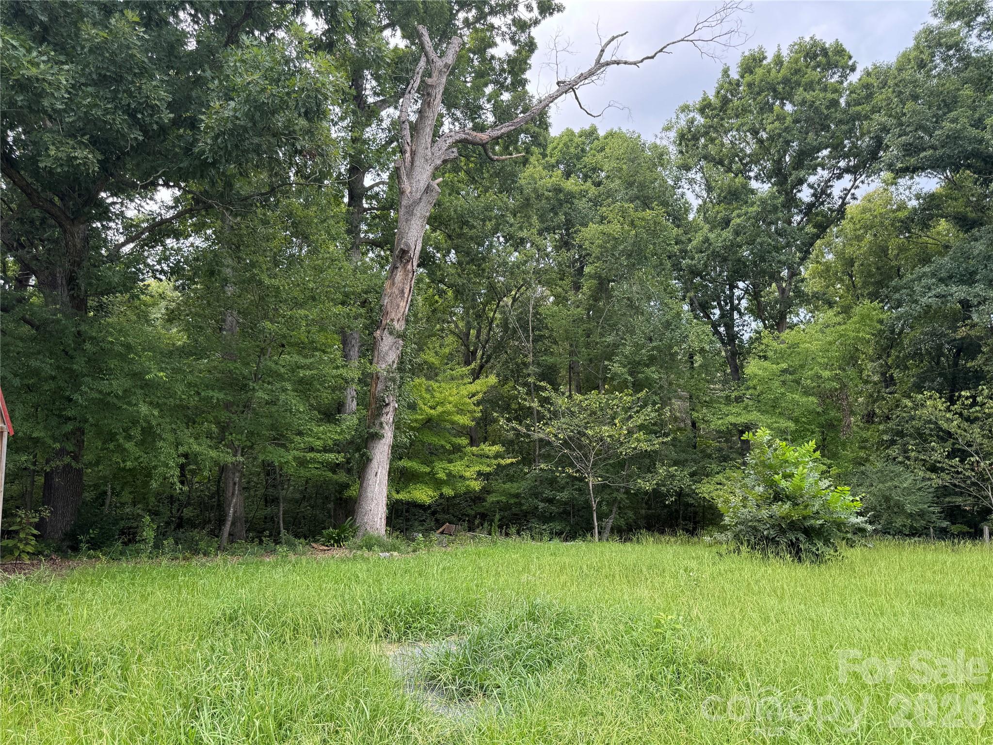 430 Russell Road Polkton, NC 28135 - Photo 18 of 24 Gallery Image 18