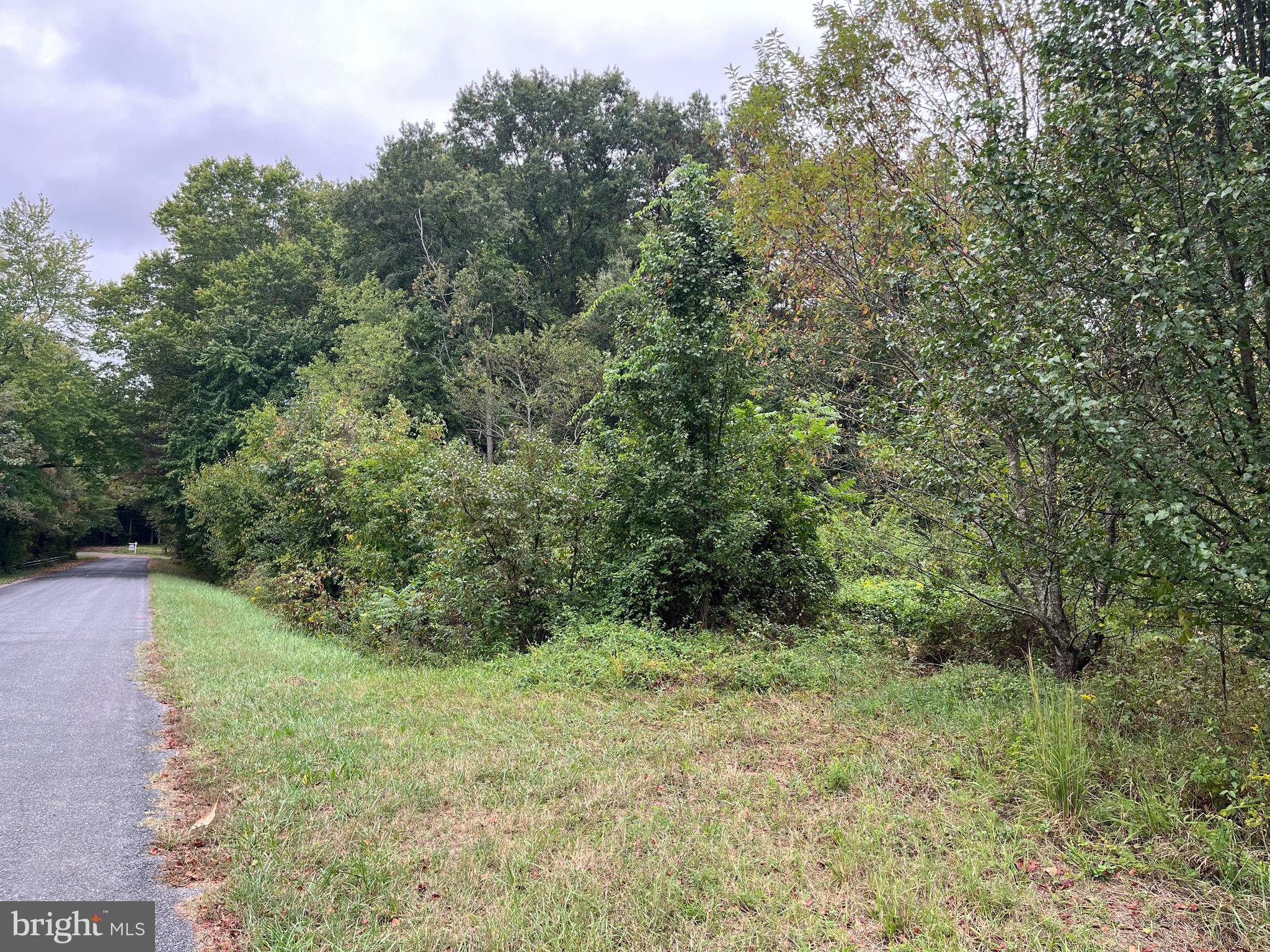 Burnt Mill Road, Unit 3 Ridgely, MD 21660 - Photo 2 of 7 a view of a lush green forest with large trees