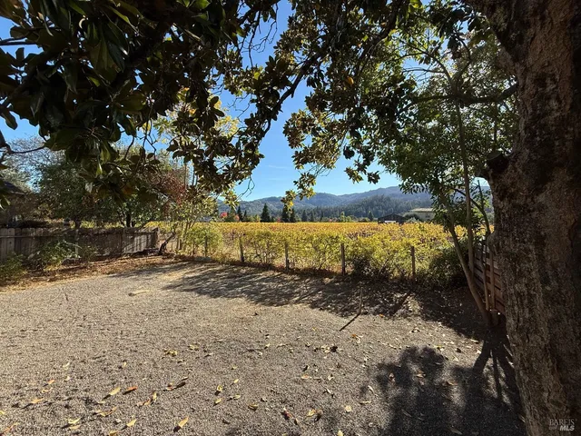 a view of a yard with a tree