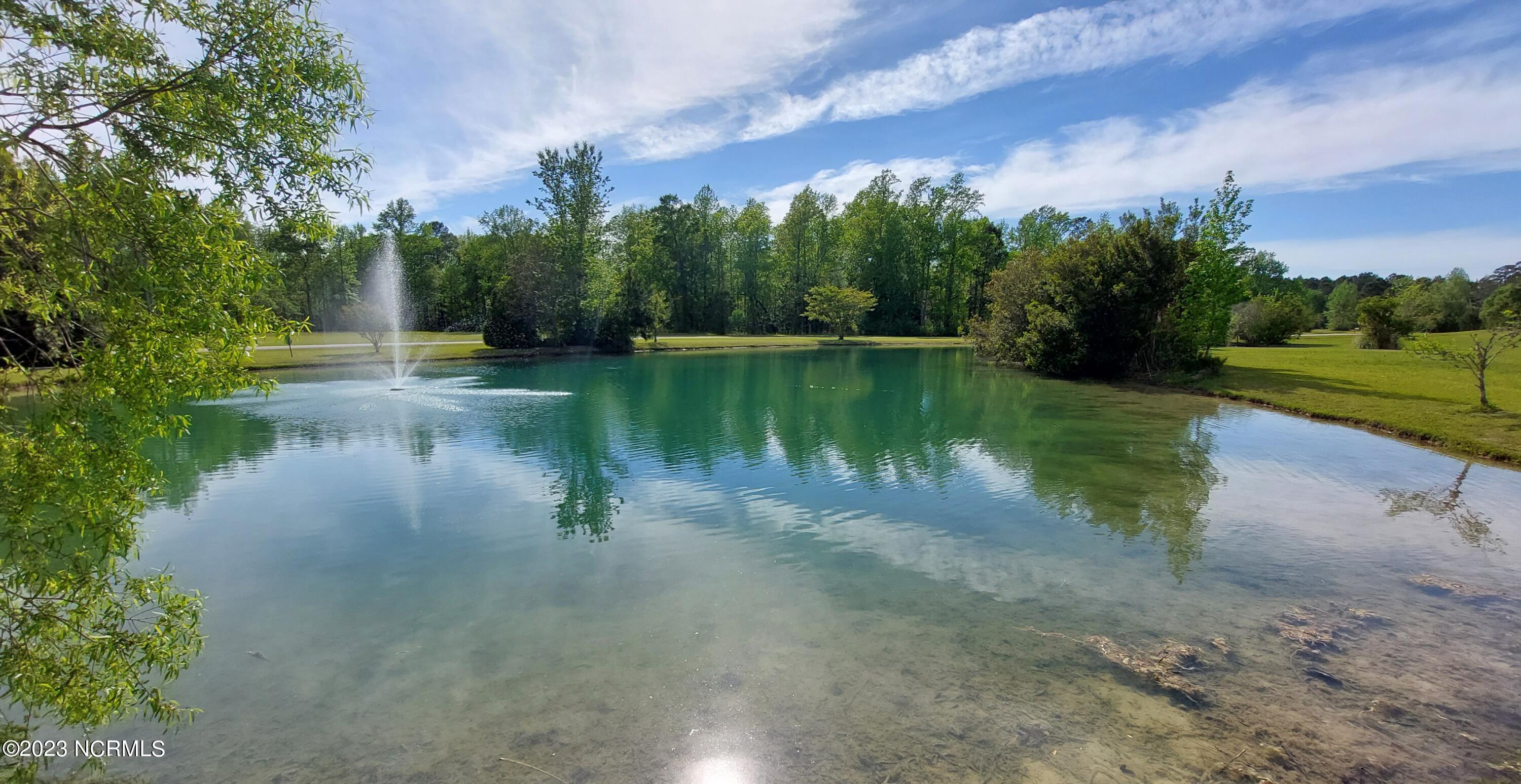 166 Baird Point Road Grantsboro, NC 28529 - Photo 16 of 39 View of Pond