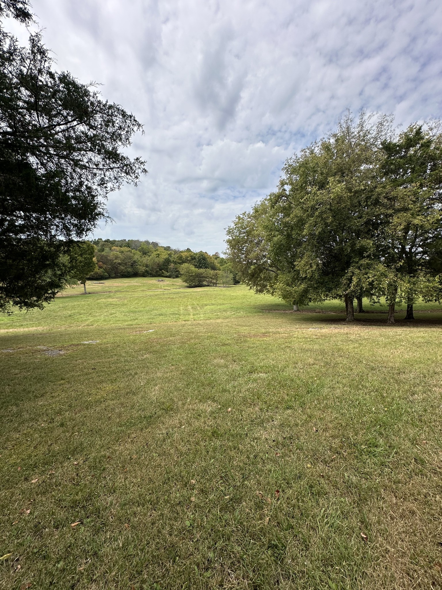 80 Vantrease Road Brush Creek, TN 38547 - Photo 56 of 58 Gallery Image 56