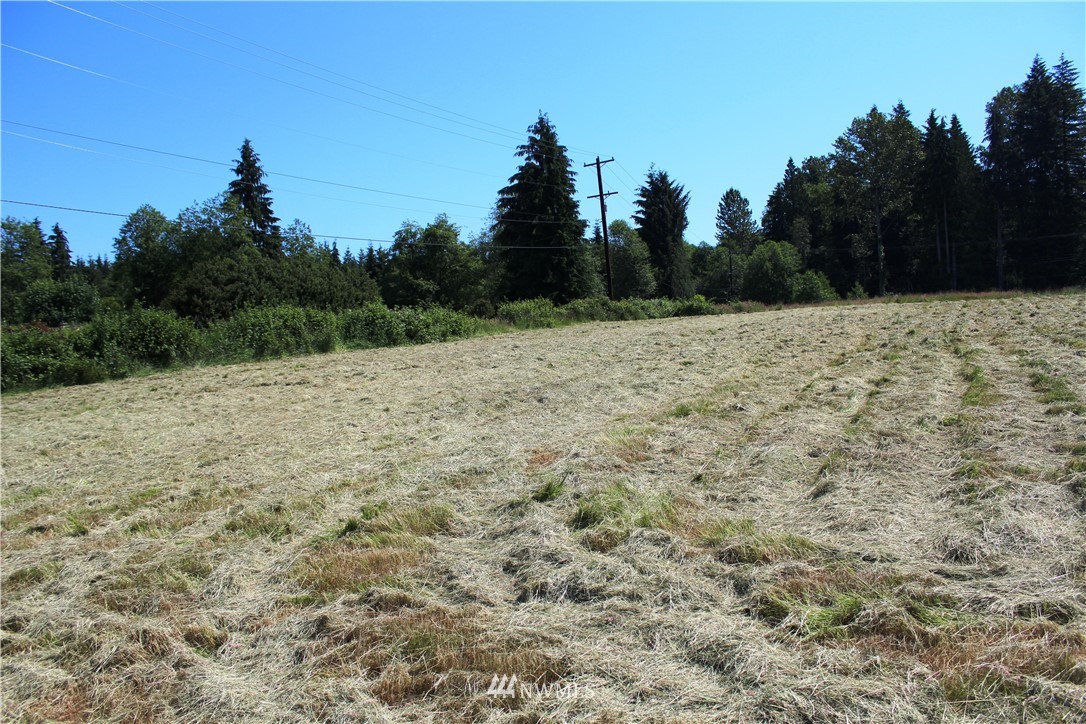29614 Cedar Ponds Road Monroe, WA 98272 - Photo 22 of 25