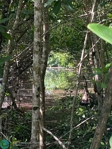 a view of a pathway with a yard