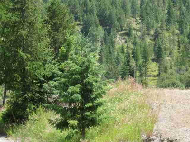 2601 Cedonia-Addy Road Addy, WA 99101 - Photo 5 of 8