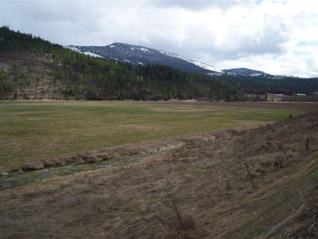 2601 Cedonia-Addy Road Addy, WA 99101 - Photo 8 of 8