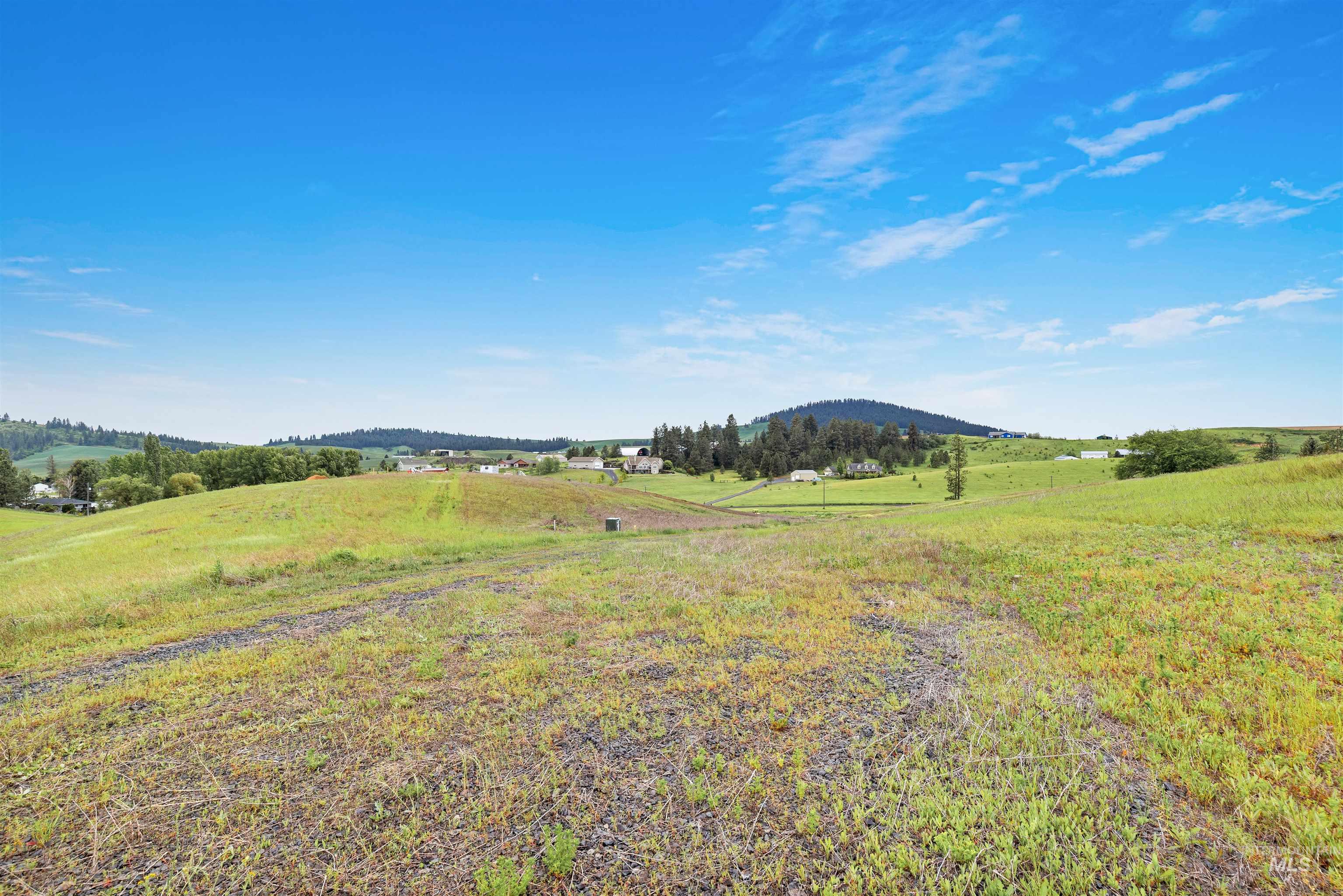 Tbd Reams Road Moscow, ID 83843 - Photo 15 of 20