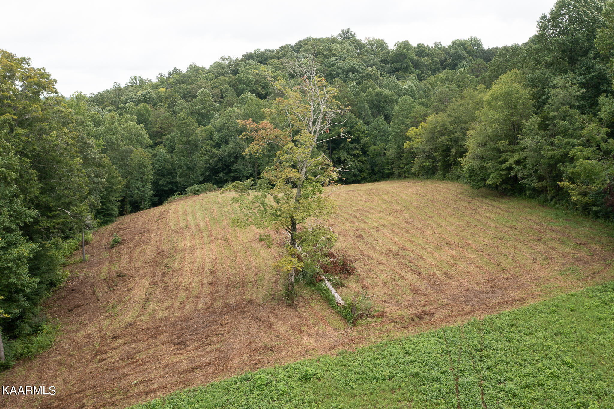 West Wolf Valley Road Clinton, TN 37716 - Photo 10 of 10 untitled-10