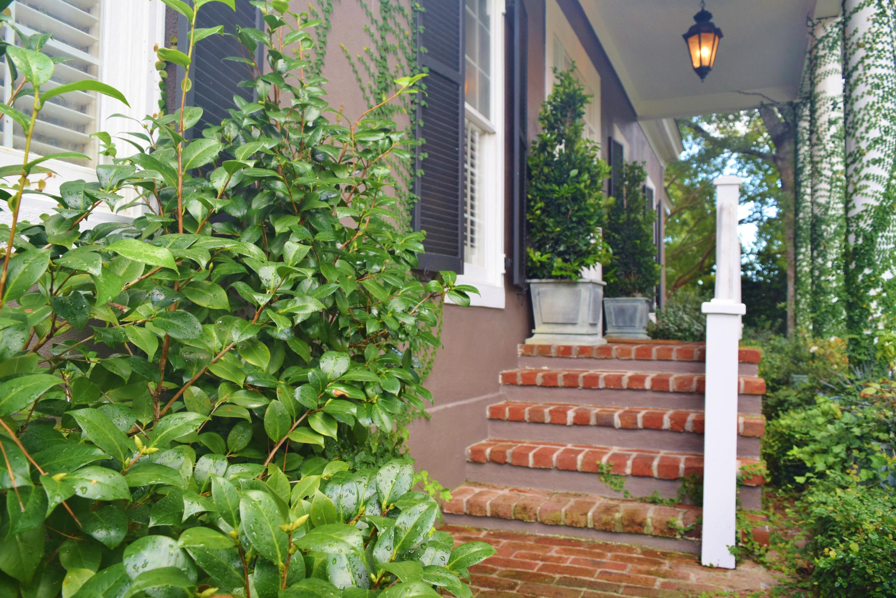 369 Sugar Cane Way Mount Pleasant, SC 29464 - Photo 6 of 39 2016-09-17 Sugar Cane Additional 023
