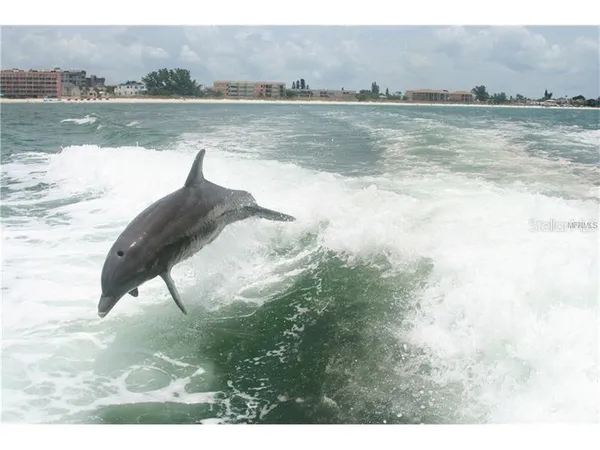 $3,300 | 1230 Gulf Boulevard, Unit 1507, Clearwater, FL 33767