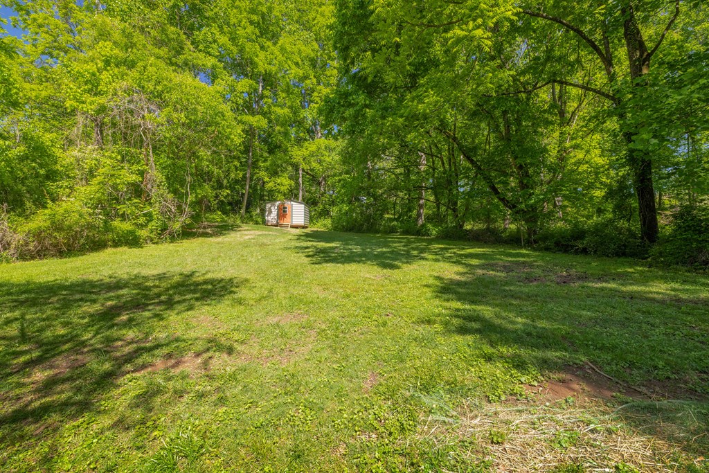 50 River Street Blue Ridge, GA 30513 - Photo 22 of 26