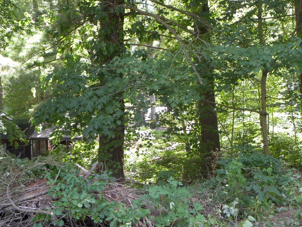 33 Pleasant Street, Unit 2 Sutton, MA 01590 - Photo 24 of 30 Gallery Image 24