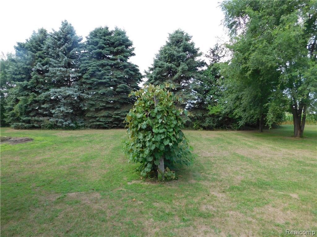 3565 Ringle Road Akron, MI 48701 - Photo 11 of 48 3565 Ringle Road Akron 006.JPG